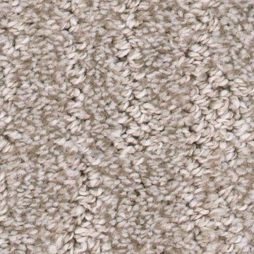 Carpet swatch | Hurricane Floor Covering & Design